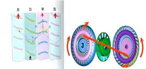 Һ��׃��������ϵ�y(t��ng)�������c��(y��ng)��