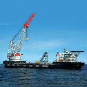 �����Ժ��\�������ش��đ�(y��ng)��