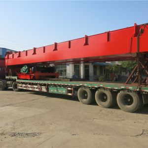 2018010119 徐國強 單小車(chē)吊鉤起重機QD25,5-25.5